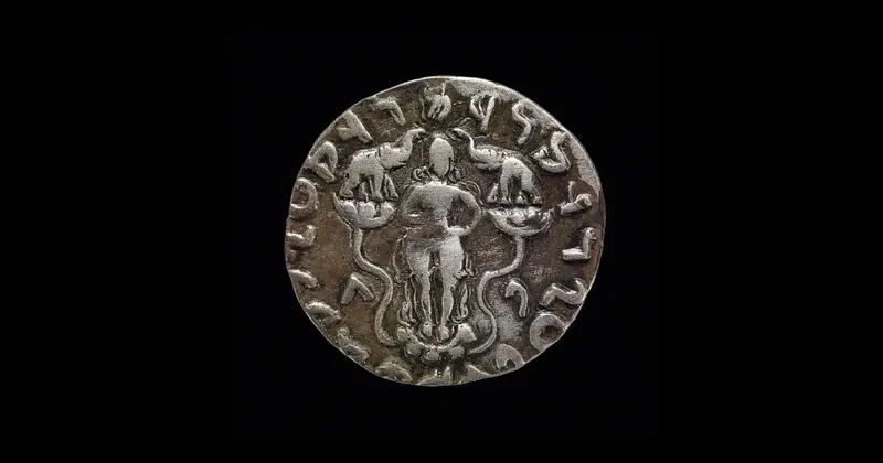 Cultural Critique of Capitalism - The Suffusion of Dharma