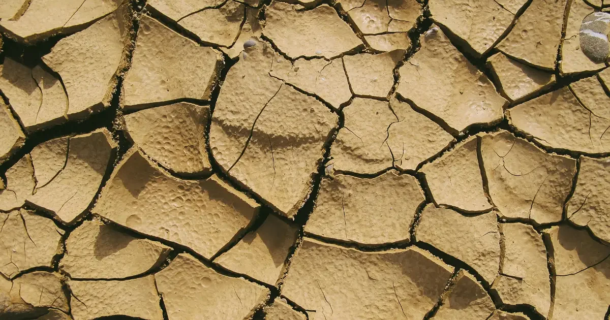 The Global Soil Health Crisis - Implications and Solutions