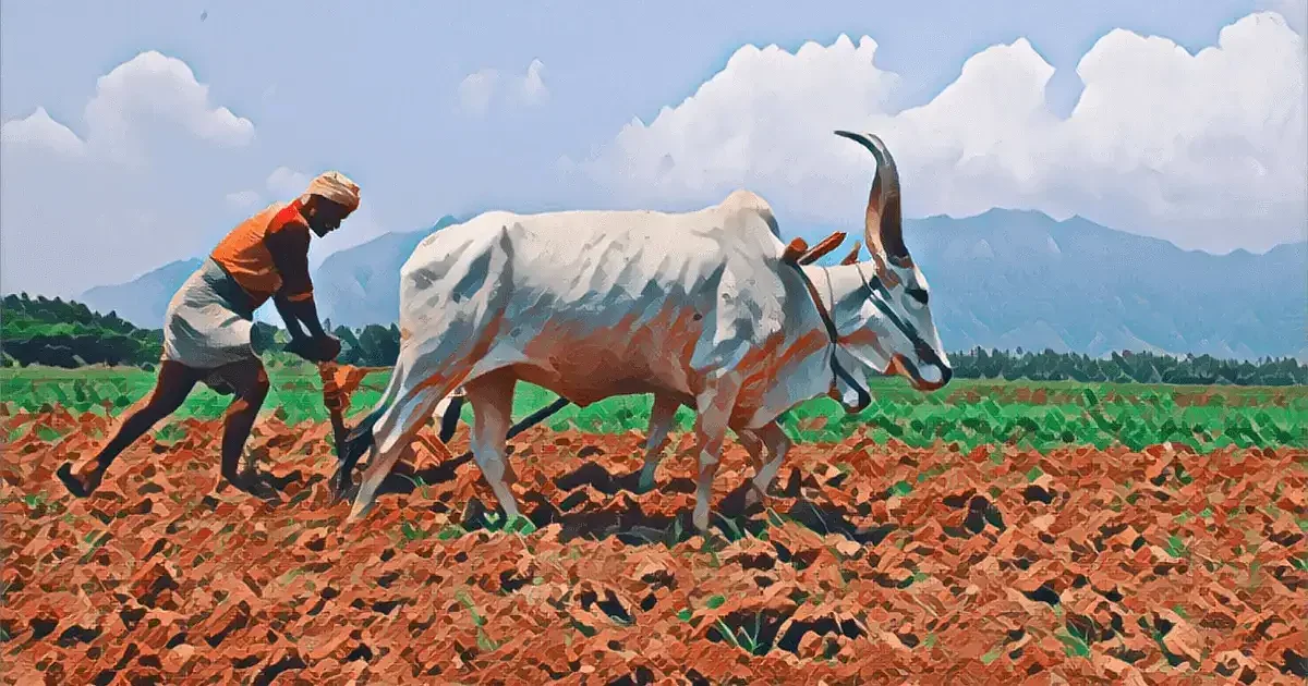 The Sri Lankan Crisis and Organic Farming