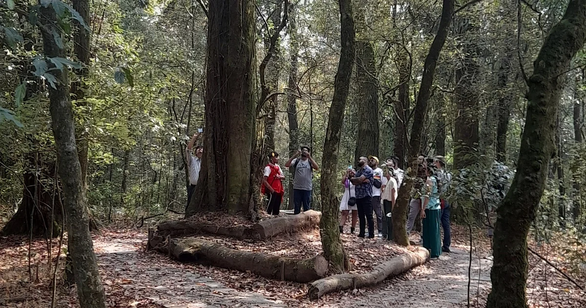 Environmentalism in North East India: A Study on the Traditions of Sacred Groves in the Tribal Cultures of Meghalaya, Mizoram, and Arunachal Pradesh